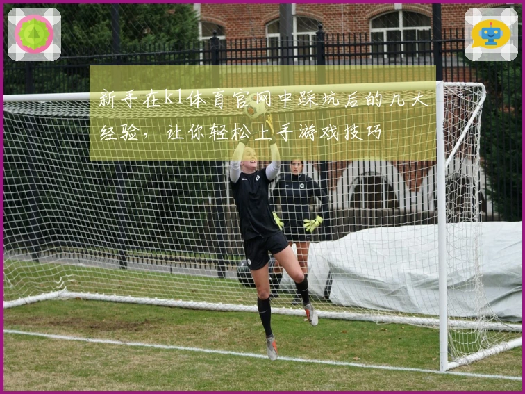 新手在k1体育官网中踩坑后的几大经验，让你轻松上手游戏技巧